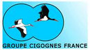 Groupe-cigognes-France